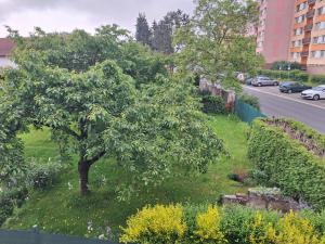 Zahrada ubytování Apartmány U Stříbrných