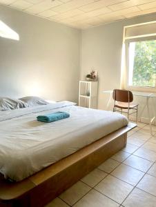 Private Room in Esch-sur-Alzette tesisinde bir odada yatak veya yataklar