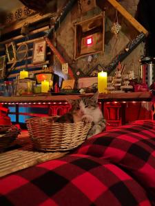 Φωτογραφία από το άλμπουμ του Ke&Ra Guestsroom στο Γκόρι