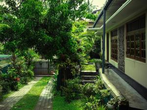 a garden with a tree next to a house at White House Apartment at Hume's Road in Galle