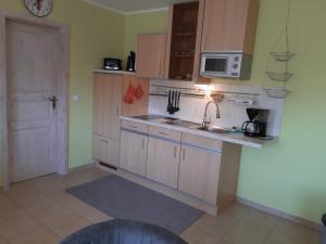 a kitchen with a sink and a microwave at Auf dem Hufen in Ribnitz-Damgarten