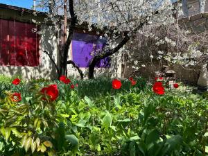 a garden with red flowers in front of a house at Ke&Ra Guestsroom in Gori +6 photos