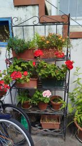 Billede fra billedgalleriet på Barcola Holidays Casa Vacanze i Trieste