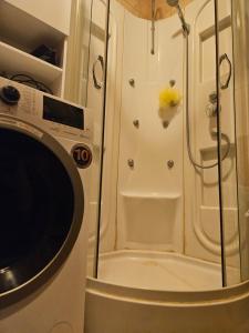 una doccia con porta in vetro accanto a una lavatrice di Apartma Cipresa a Rogatec
