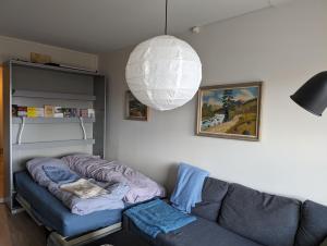 ein Wohnzimmer mit einem Sofa und einer Lampe in der Unterkunft Spacious and cozy study apartment with balcony in Oslo