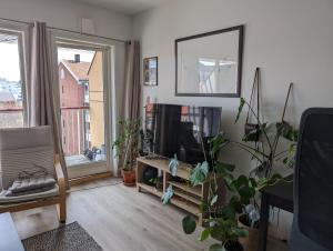 ein Wohnzimmer mit einem TV und einigen Pflanzen in der Unterkunft Spacious and cozy study apartment with balcony in Oslo