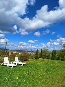 two white chairs sitting on a field of grass at Chalet Tinelu Brașov Săcele in Săcele
