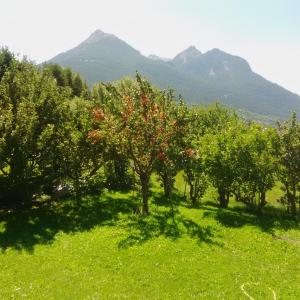 Příroda nedaleko bed and breakfast