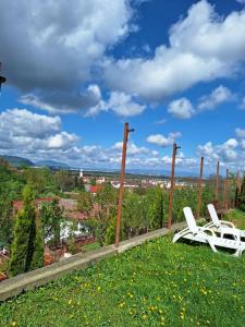 two white chairs sitting on top of a field of grass at Chalet Tinelu Brașov Săcele in Săcele