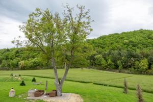 Zahrada ubytování Aura Relais