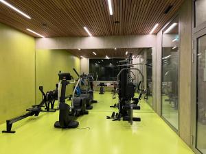 a gym with treadmills and ellipticals in a room at Room Casa Jessika in Orselina