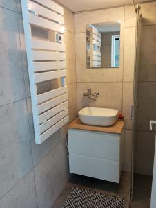 een badkamer met een wastafel en een spiegel bij Jurgvita in Palanga