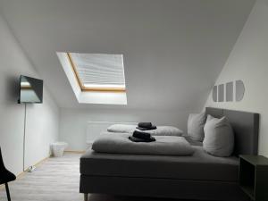 a bedroom with a bed with a skylight at Ferienwohnung Flaming House 2 in Bitterfeld