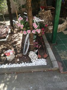 Una bicicleta estacionada junto a un árbol con flores. en Apartmani Studio, en Melenci