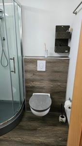 een badkamer met een toilet en een glazen douche bij Pension Garni Zur Schamper Mühle in Gotthun