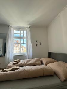 una cama grande en una habitación con ventana en Stylish Centre Apartment TGM, en Karlovy Vary