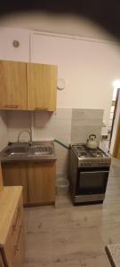 una cucina con fornelli e lavello di Apartament JUKI, obok Katowice Wynajem na doby, krótkoterminowy, 2 pokoje balkon, 50m2,- po kapitalnym remoncie 2-ga sypialnia jest częścią salonu blisko Centrum Leczenia Oparzeń 2,5 km a Siemianowice Śląskie