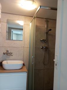 a bathroom with a sink and a shower at Jurgvita in Palanga