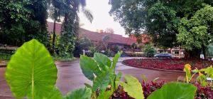 伊瓜蘇港的住宿－若愛查斯日歐諾酒店，绿叶花园,位于房子前
