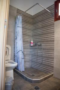 a bathroom with a shower and a toilet at Naia House in Chorefto +19 photos