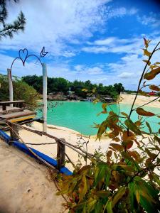 een uitzicht op een strand met blauw water en een vogel bij Apartamento Praia do Prea in Jericoacoara