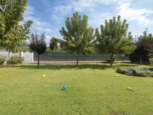 un patio con pelotas en la hierba con árboles en Villa Simonetta by Interhome, en Forte dei Marmi