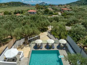 凱里翁的住宿－Villa Astoria Limni Keriou，享有带遮阳伞的游泳池的顶部景致