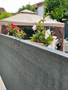 Zahrada ubytování Casa di Maya