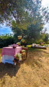 Zahrada ubytování Agriturismo San Michele in Triglie