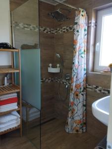 ein Bad mit einer Dusche und einem Waschbecken in der Unterkunft Kim`s Cottage in Görwihl