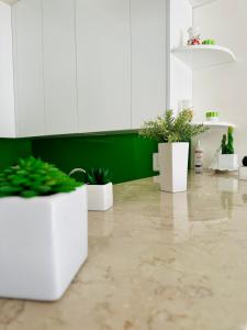 Φωτογραφία από το άλμπουμ του Laura Apartman στην Μπούντβα +1 φωτογραφίες