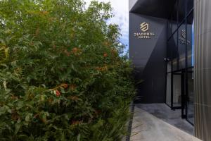 丹吉尔DIAGONAL HOTEL的一座大楼前的一片绿色灌木丛