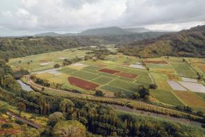 an aerial view of a field and a river at Banyan Harbor Resort in Lihue +125 photos