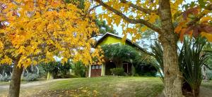 Zahrada ubytování CASADELGOLF Villa Gesell