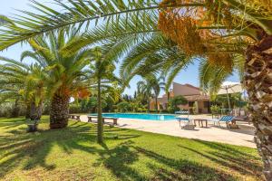 Πισίνα στο ή κοντά στο Villa Arenella con piscina +31 φωτογραφίες