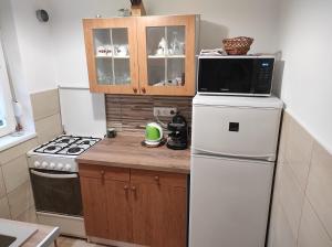 una pequeña cocina con nevera blanca y microondas en Tavasz apartman, en Balatonfenyves