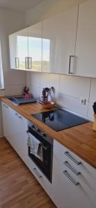Kuchyň nebo kuchyňský kout v ubytování Fully equipped two-room apartment with balcony