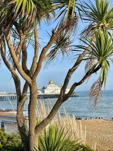 two palm trees on the beach with a pier in the background at Garden flat in 'Little Chelsea' in Eastbourne