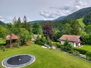 an aerial view of a yard with a swimming pool at Haus Enzian in Hinterstoder