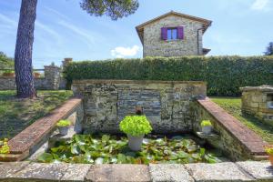 a garden with a pond with plants and a building at Casale Cantalena in Cortona
