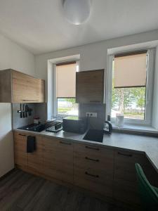 Kuchyň nebo kuchyňský kout v ubytování Hobití apartmán - Sam
