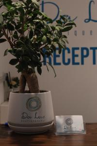uma planta em vasos sentada em cima de uma mesa em Da Luz Boutique Hotel em Saranda