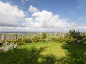 a green field with a view of a vineyard at Apartment Antico Duomo-4 by Interhome in Cortona