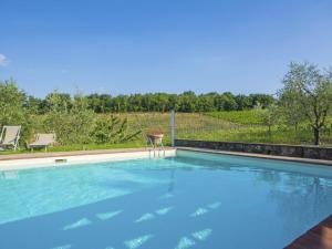 a large swimming pool with a view of a vineyard at Apartment Le Mura by Interhome in Podere Panzano