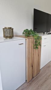 a desk with a tv on top of it with plants at MaxMir - Tannenweg Iserlohn, zentral - Parken - Küche - Netflix - Prime in Iserlohn +10 photos