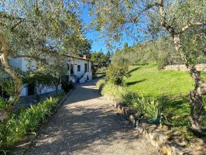 een pad dat leidt naar een wit huis met bomen bij Apartment Villa Grassina-9 by Interhome in Pelago