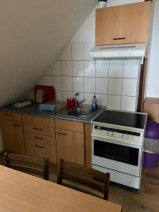 Kuchyň nebo kuchyňský kout v ubytování Easyrooms