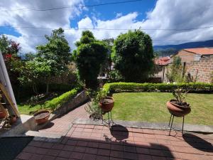 a garden with potted plants on a patio at Adelita Departamento Loja in Loja