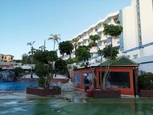 un hotel con árboles frente a un edificio en Amplio estudio Golf del Sur en San Miguel de Abona