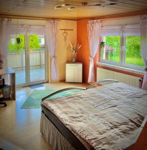 ein Schlafzimmer mit einem Bett in einem Zimmer mit Fenstern in der Unterkunft neXt doOr Donau Gästezimmer und Suite in Wurmlingen